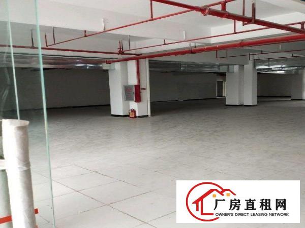  望牛墩高新产业园独门独院标准楼房低价出租