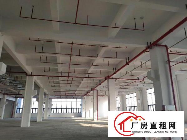  望牛墩全新花园式园区标准厂房24000方