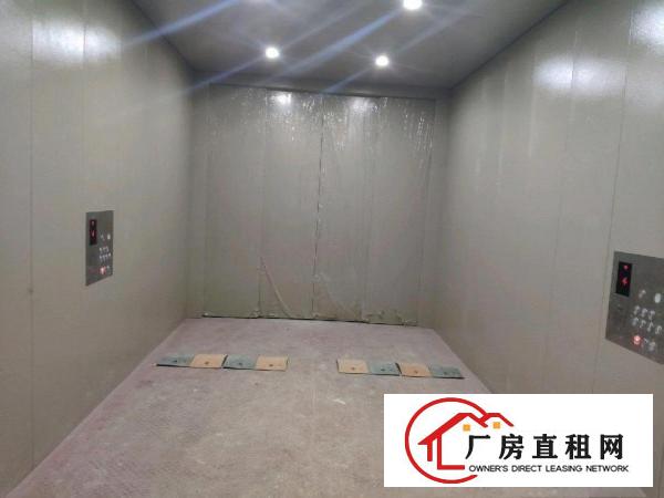  望牛墩全新花园式园区标准厂房24000方