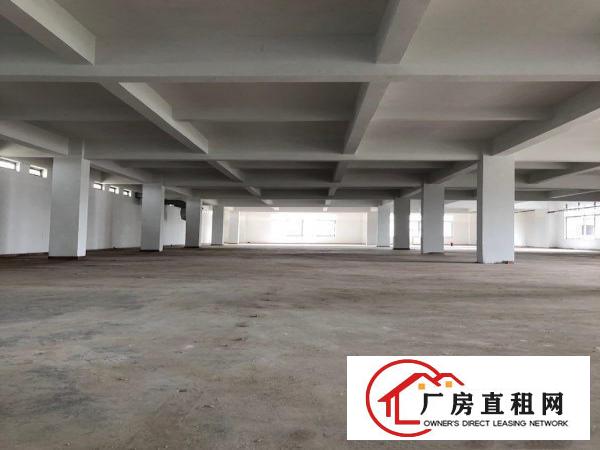  望牛墩新出一楼800平方.带装修.带办公室出租