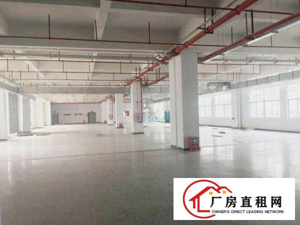  望牛墩工业区一楼2000方有现成装修。水‌‌电，消防。空地大