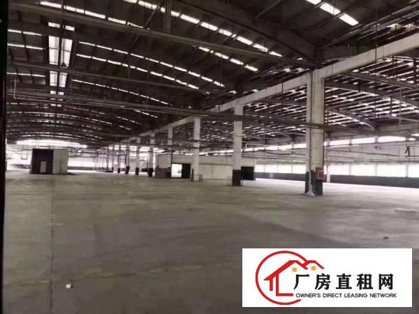  望牛墩新出原房东独门独院厂房4000平出租