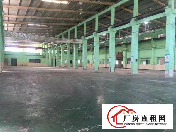  望牛墩现有10000平方厂房出租欢迎来电随时看厂