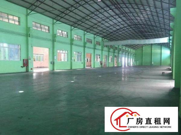  望牛墩现有10000平方厂房出租欢迎来电随时看厂