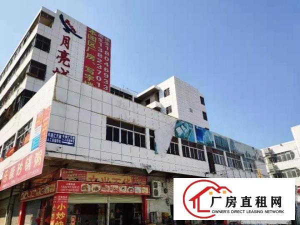  望牛墩月亮城厂房价格可议