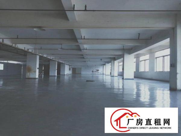  望牛墩高速路出口独院厂房4000平方，租金40000元