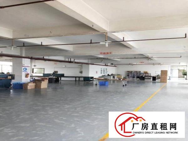  望牛墩高速路出口独院厂房4000平方，租金40000元