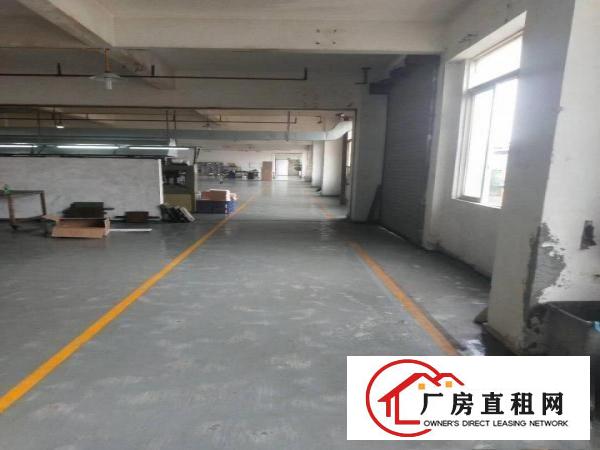  望牛墩高速路出口独院厂房4000平方，租金40000元