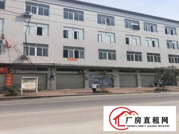  望牛墩高速路出口独院厂房4000平方，租金40000元