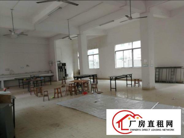  望牛墩标准厂房1500平方拎包入住可办环评