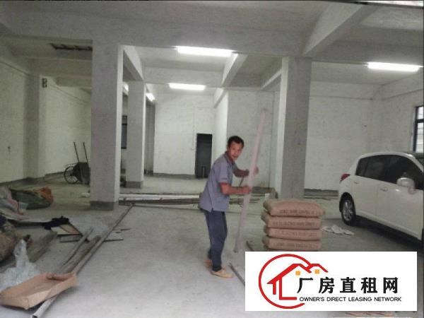  望牛墩标准厂房1500平方拎包入住可办环评