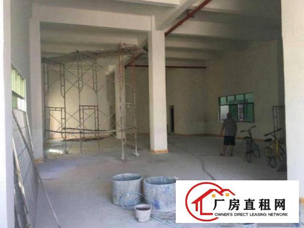  望牛墩标准厂房1500平方拎包入住可办环评