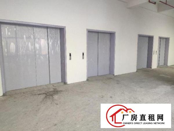  望牛墩新出全新标准工业园区14万平方，上市公司形象
