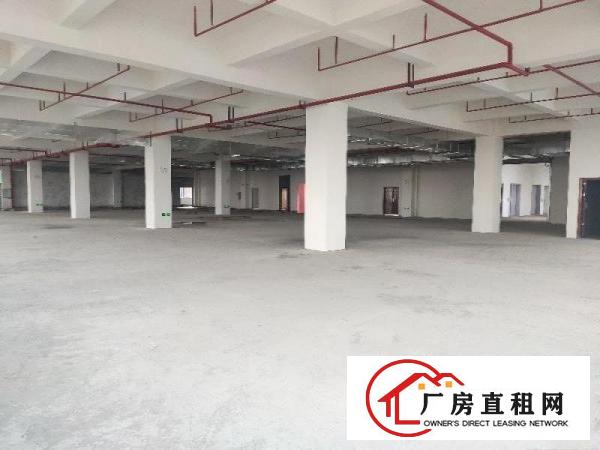  望牛墩新出全新标准工业园区14万平方，上市公司形象
