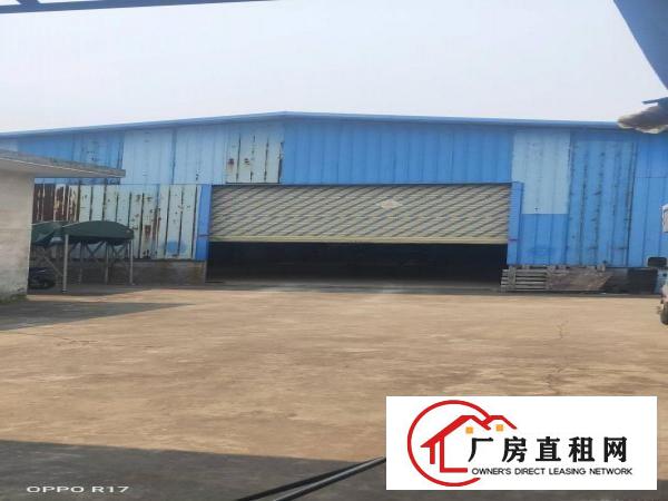  望牛墩新出独门独院原房东单一层厂房550平，