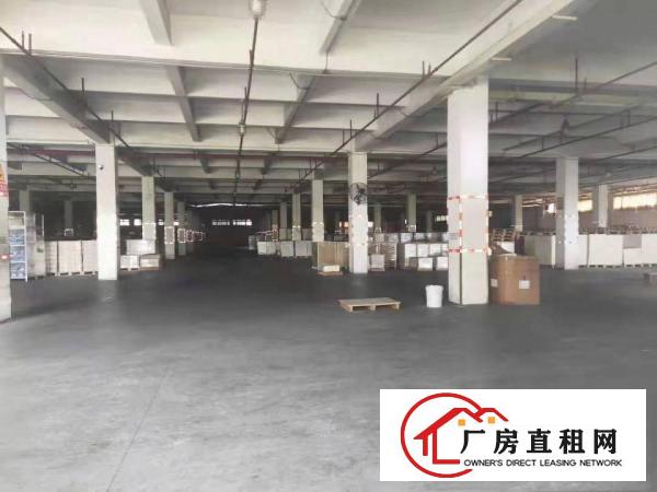  望牛墩镇独院标准厂房5万平米出租，大小可分租，形象好