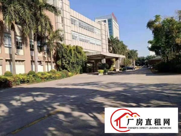  望牛墩镇独院标准厂房5万平米出租，大小可分租，形象好