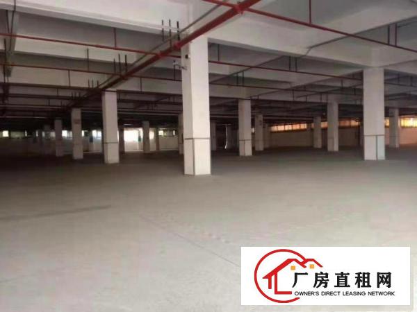 望牛墩镇独院标准厂房5万平米出租，大小可分租，形象好