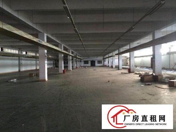  望牛墩独门独院标准楼层厂房4000方出租，空地大。