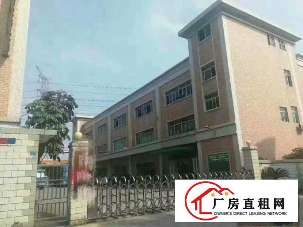  望牛墩独门独院标准楼层厂房4000方出租，空地大。