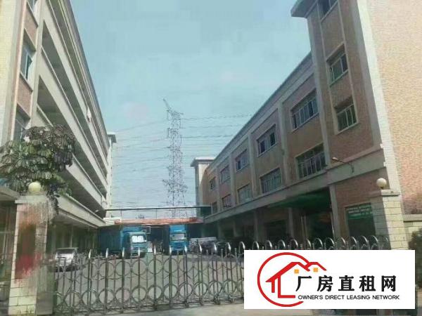  望牛墩独门独院标准楼层厂房4000方出租，空地大。