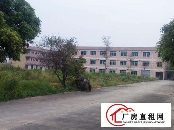  望牛墩独院厂房出租4300平，可分租，证件齐全证件齐全
