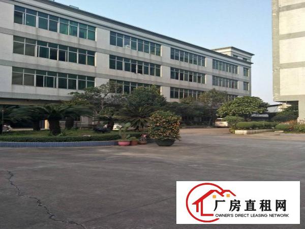  望牛墩外资企业厂房6000方出租，园林式厂房