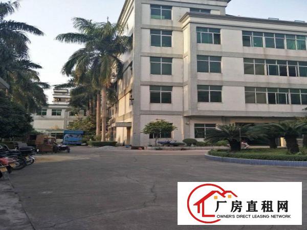  望牛墩外资企业厂房6000方出租，园林式厂房