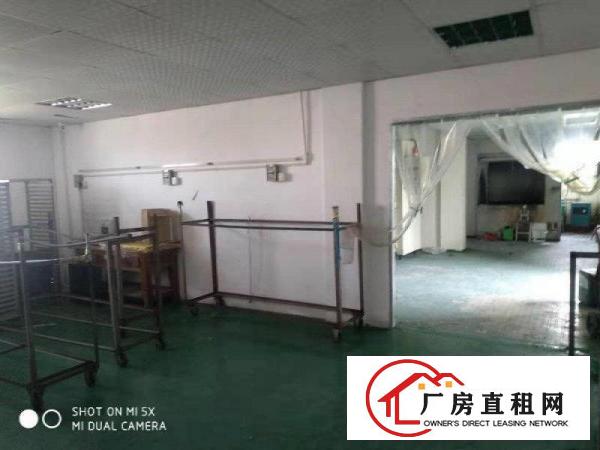  出租望牛墩厂房一楼宿舍办公室配套