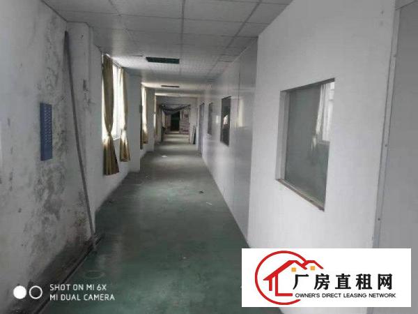  出租望牛墩厂房一楼宿舍办公室配套