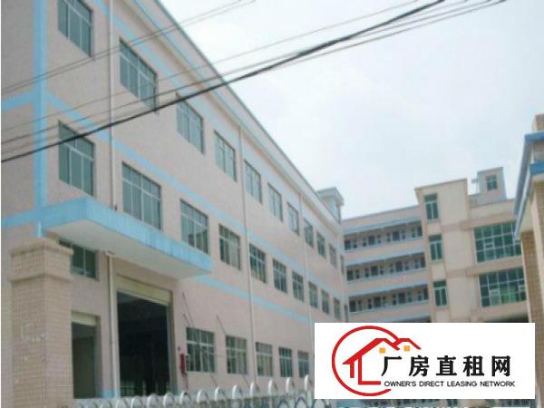  出租望牛墩厂房一楼宿舍办公室配套