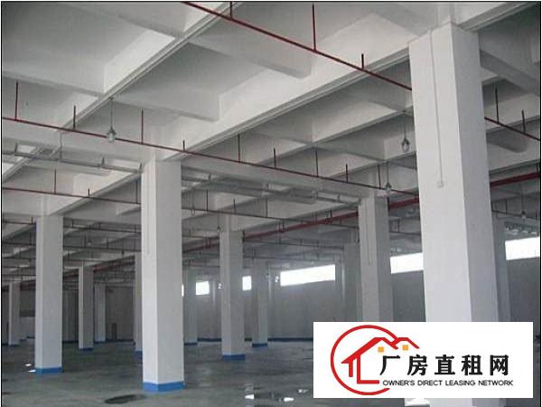  东莞化工厂房仓库出租-可生产各种化工产品
