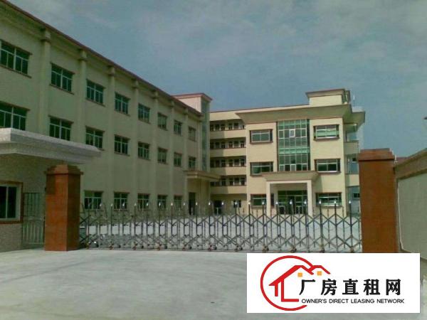  小型一层仓库、一楼仓库、大型物流园园仓库招租