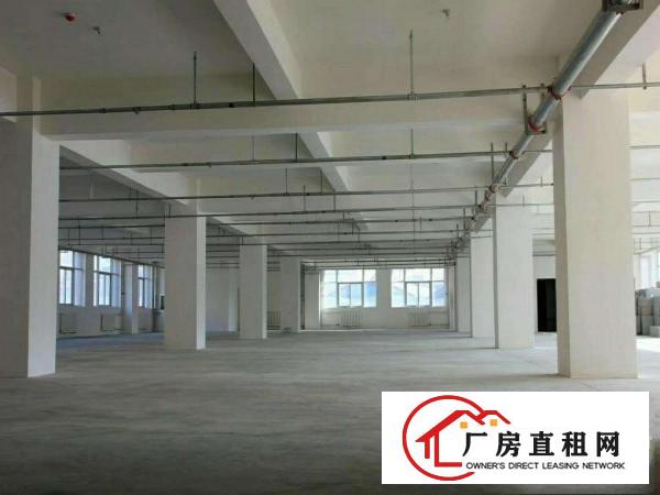  小型一层仓库、一楼仓库、大型物流园园仓库招租