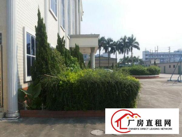  洪梅一楼仓库厂房出租