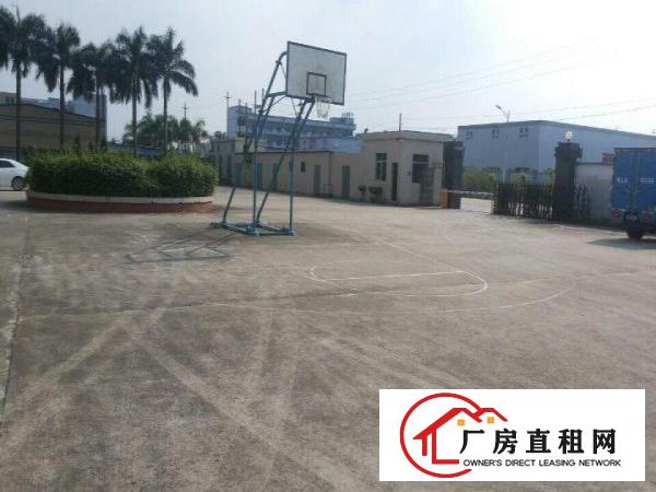  洪梅一楼仓库厂房出租