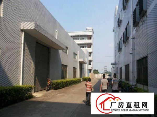  洪梅一楼仓库厂房出租