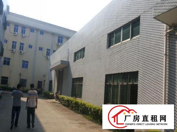  洪梅一楼仓库厂房出租