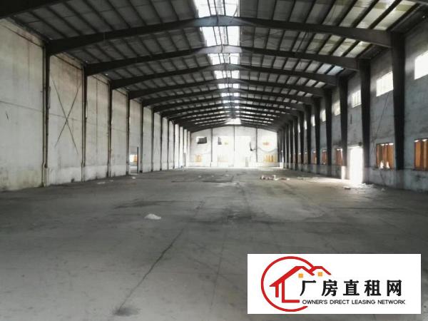  东莞洪梅莞术科技园9900平方8米单层厂房出租