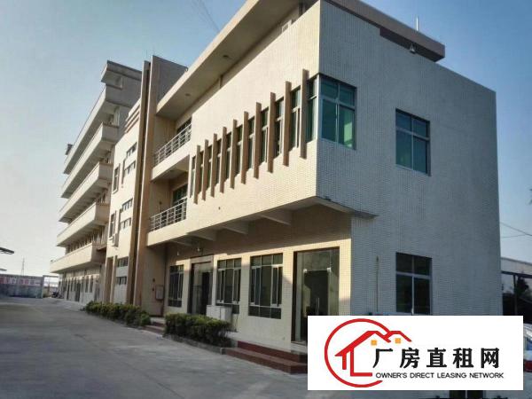  东莞洪梅莞术科技园9900平方8米单层厂房出租