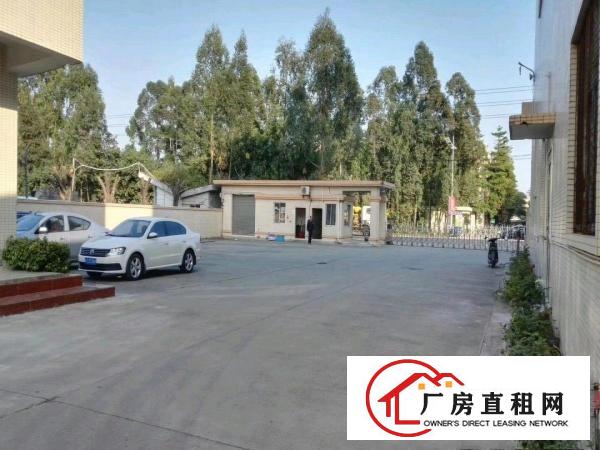 东莞洪梅莞术科技园9900平方8米单层厂房出租