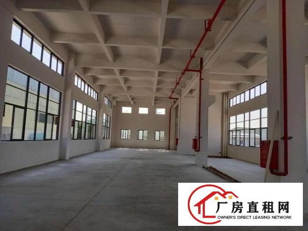  东莞原房东独院单一层标准厂房18000平实际面积出租