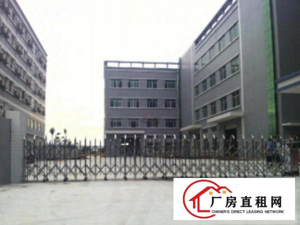  洪梅一楼厂房出租1500平方出租
