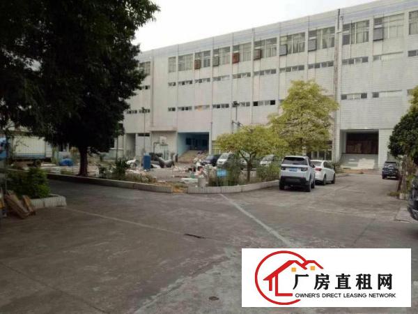  东莞化工厂房出租-可生产各种漆,树脂,胶水,胶粘剂