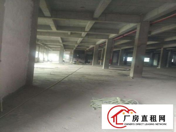  东莞化工厂房出租-可生产各种漆,树脂,胶水,胶粘剂