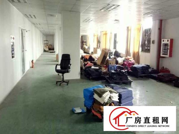  东莞化工厂房出租-可生产各种漆,树脂,胶水,胶粘剂