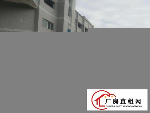  东莞化工厂房出租-可生产各种漆,树脂,胶水,胶粘剂