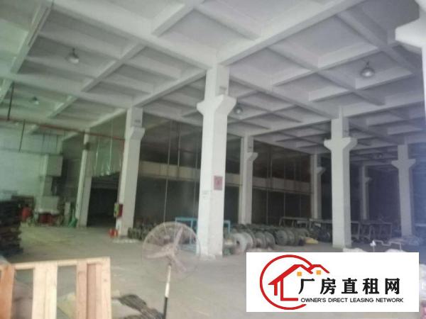  纸品行业工业区厂房3000平方出租