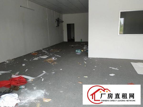  出租洪梅独门独院配套宿舍厂房