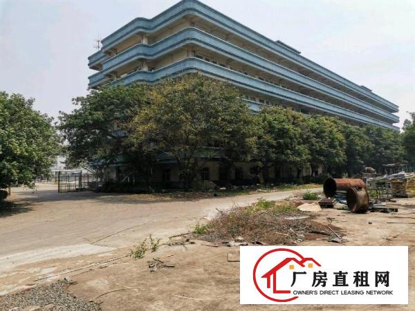  洪梅镇洪金路红本厂房招租